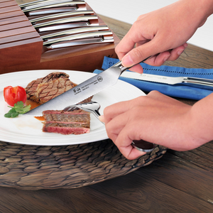 10 Pieces Serrated Steak Knife Set, (8 Steak Knives W/ Two Wood Block)