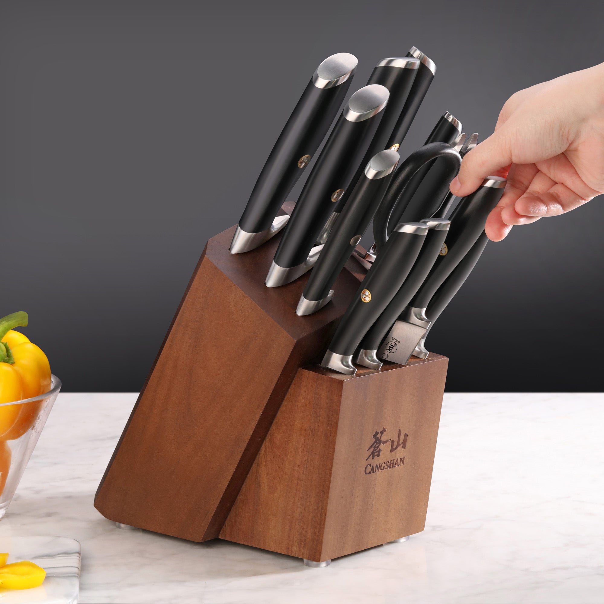 L & L1 Series 12-Piece Knife Block Set with 4 Steak Knives, Forged German Steel