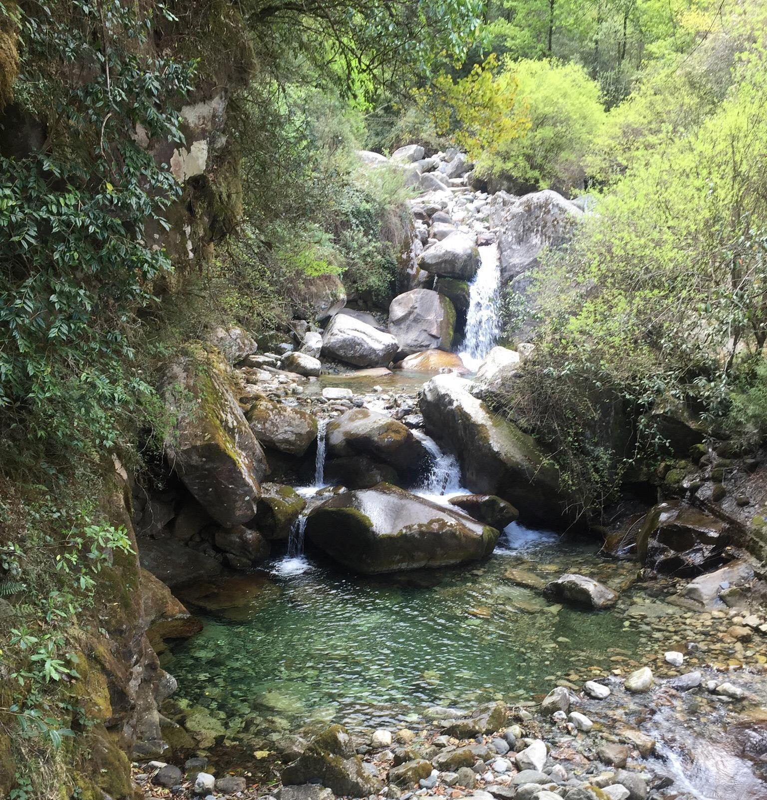 Small cascading waterfall flowing over large boulders into a clear green forest pool.