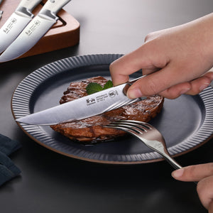 Buy ZWILLING Steak Sets Steak set